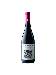 Ammura Ammura, Etna, DOC, dry, red
