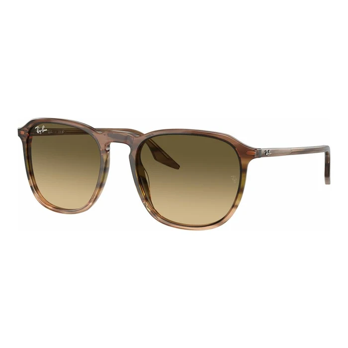 Ray-Ban Rb2203 55
