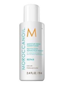 Moroccanoil Moroccanoil Hair Moisture Repair Conditioner