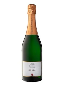 Mayer Am Pfarrplatz Mayer am Pfarrplatz, Sekt, brut, white