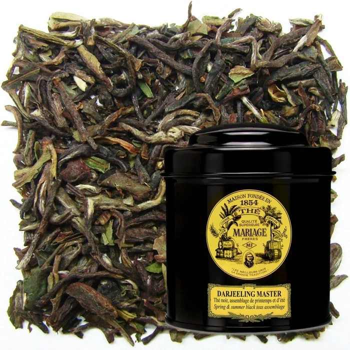 Mariage Frères Darjeeling Master