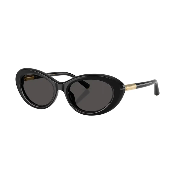 Dolce&Gabbana Sunglasses Women's Oval Black Sunglasses