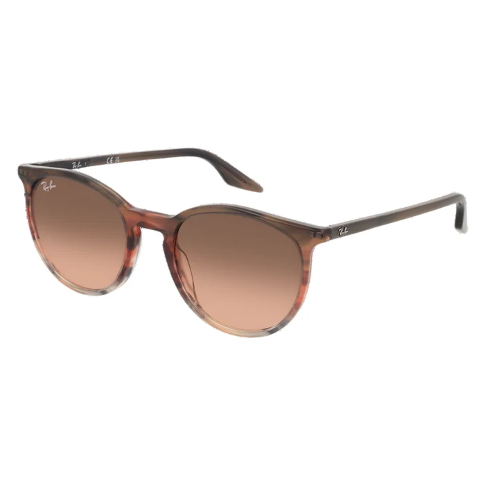 Ray-Ban Casual Classic Rb2204 51