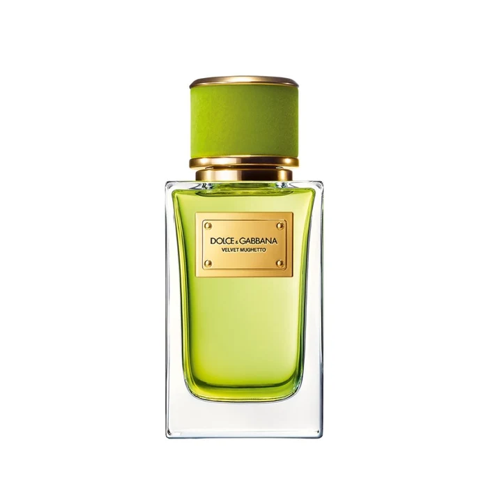 Dolce&Gabbana Velvet Mughetto