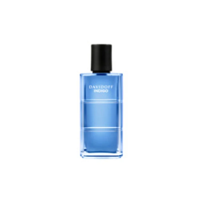 Davidoff Indigo Travel Male