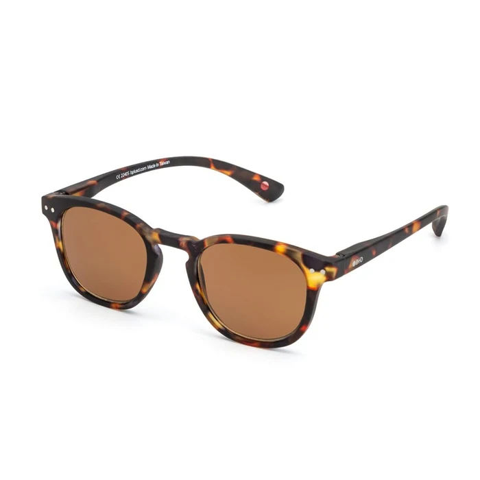 B+D Dot Readers Matt Sun +2.50 47 21-145