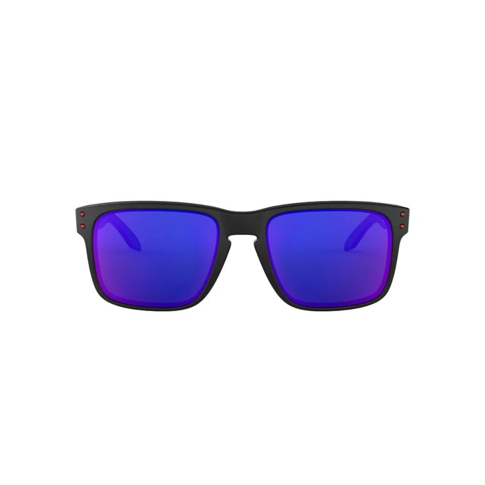 Oakley Holbrook 55