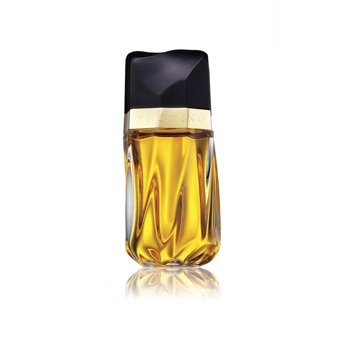 Estée Lauder Knowing